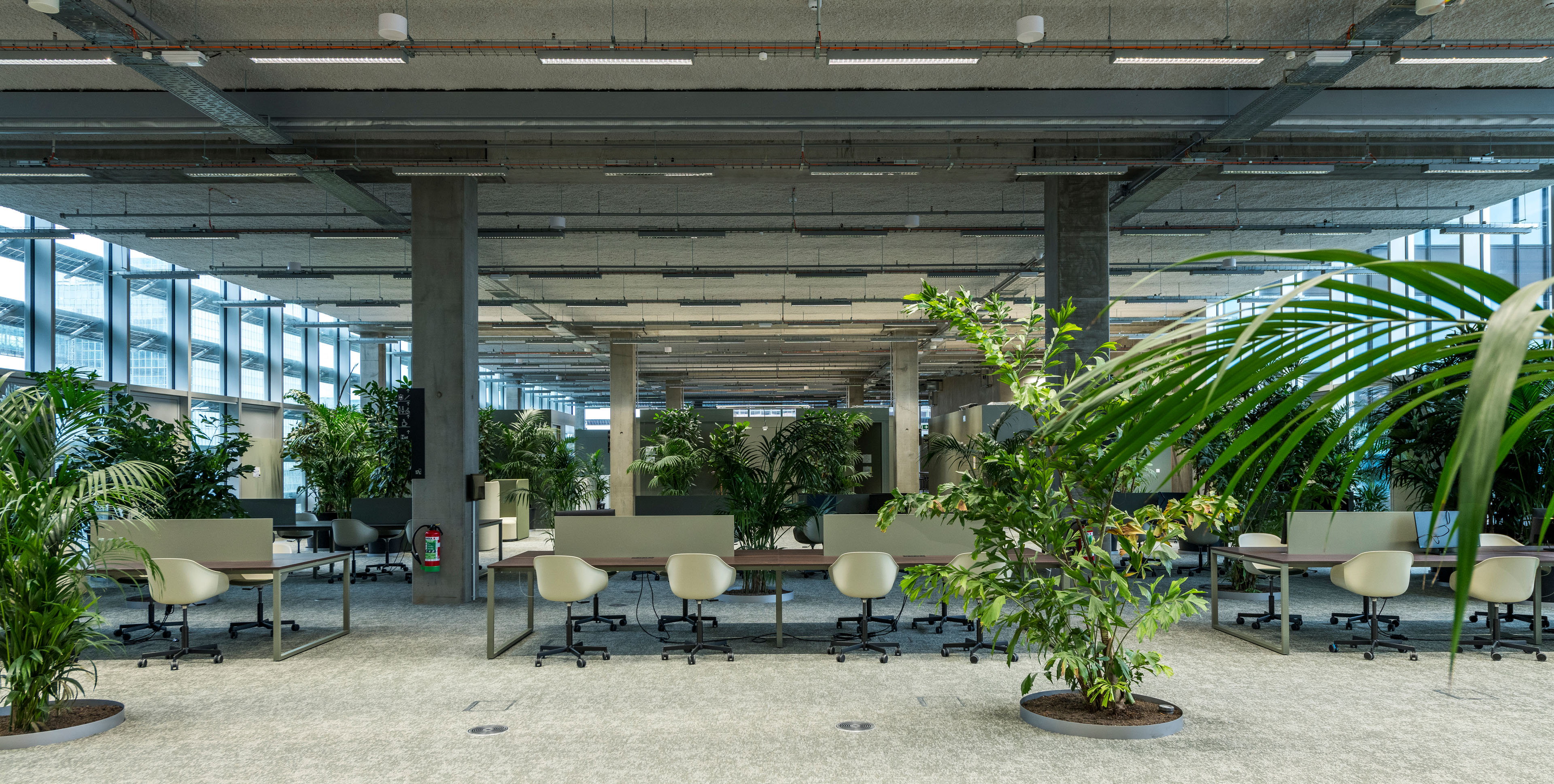 Befimmo office floor, Belpaire